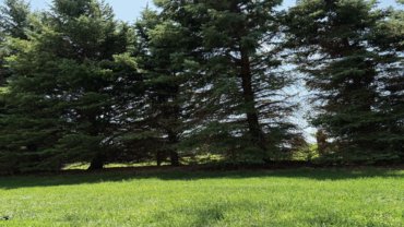 Flexible Outdoor Space for Every Event