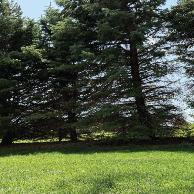 Flexible Outdoor Space for Every Event